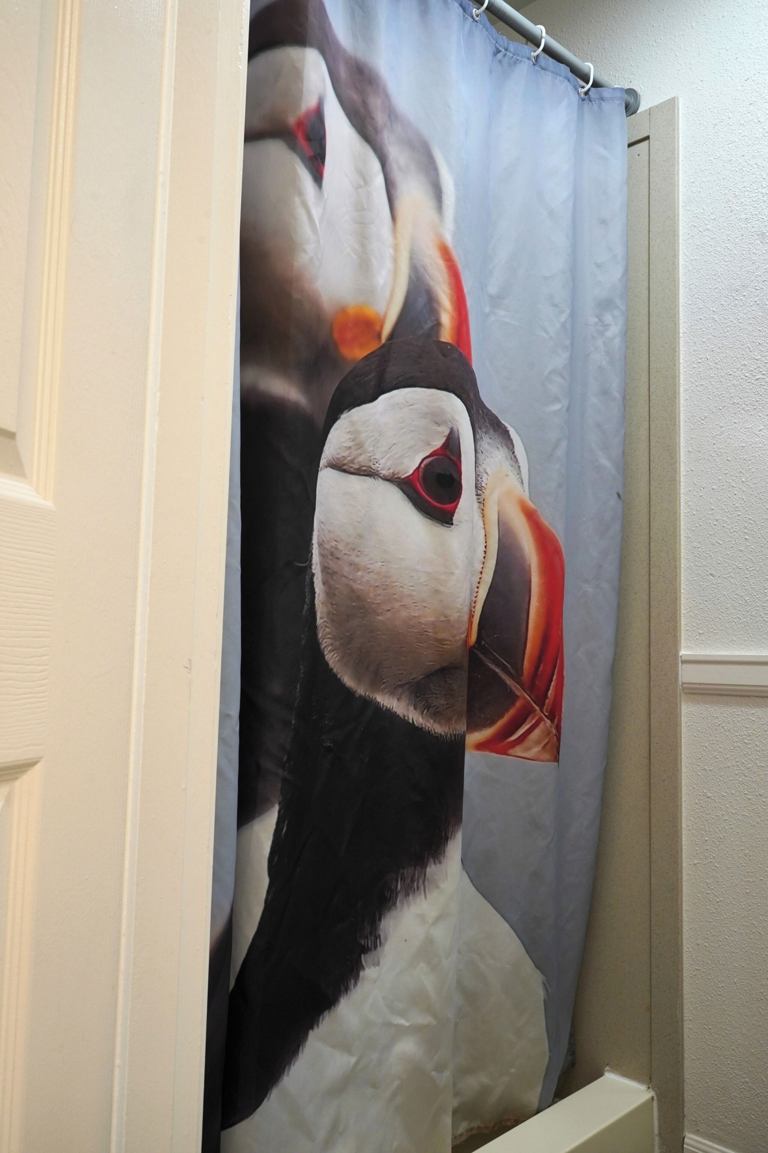 A shower curtain with a puffin design.