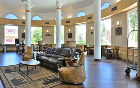 A spacious lobby with a leather sofa, a round table, and a unique chair. Large windows provide natural light and views of the outdoors.