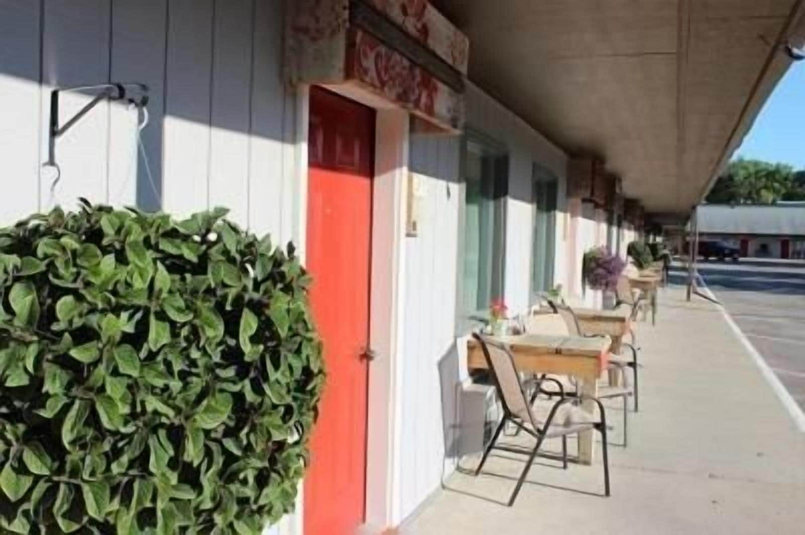 A row of tables and chairs outside a building with a red door and a green bush.