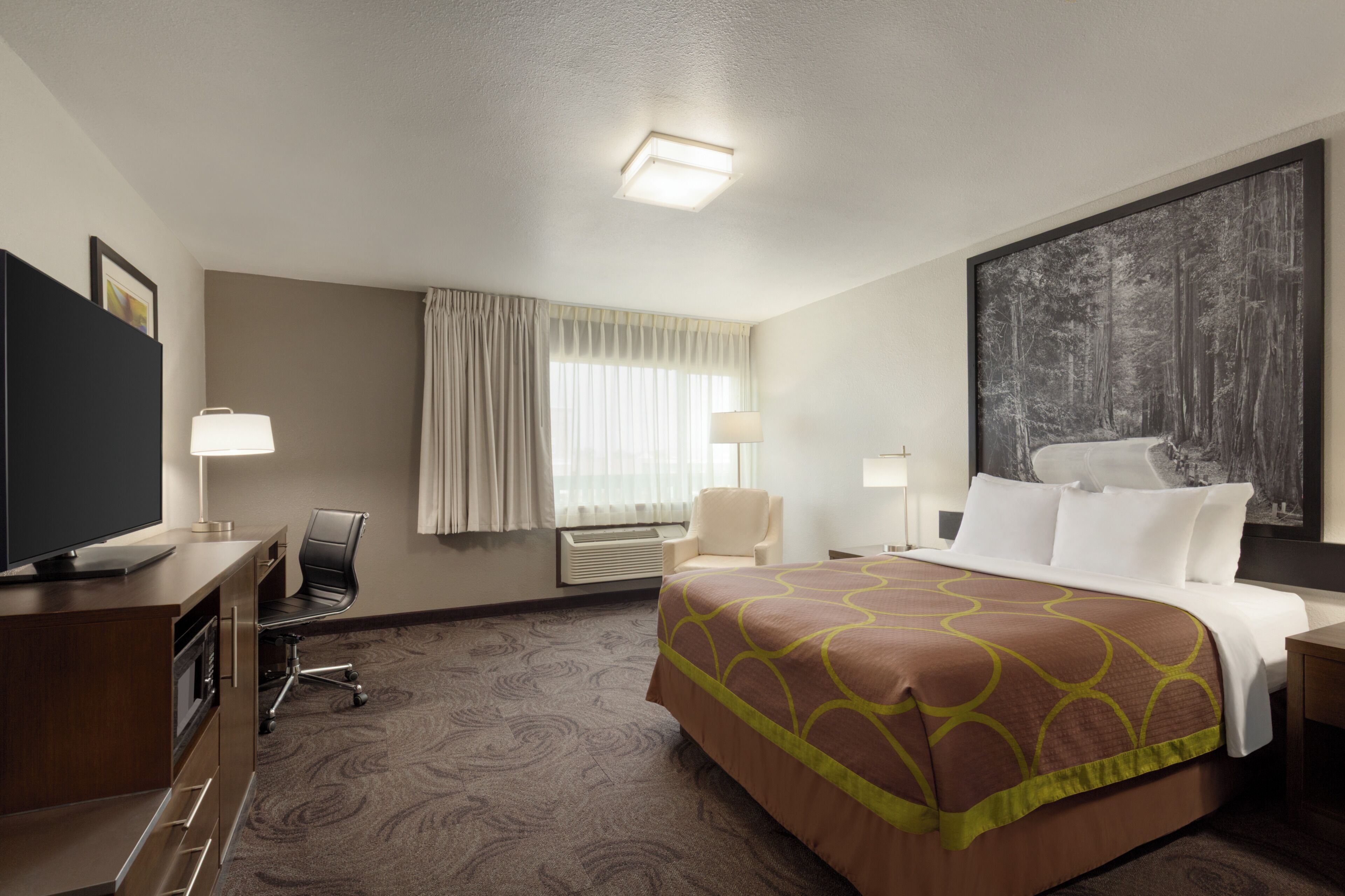 A hotel room with a bed, a desk with a television, a chair, a desk lamp, a window with curtains, and a large framed picture on the wall.