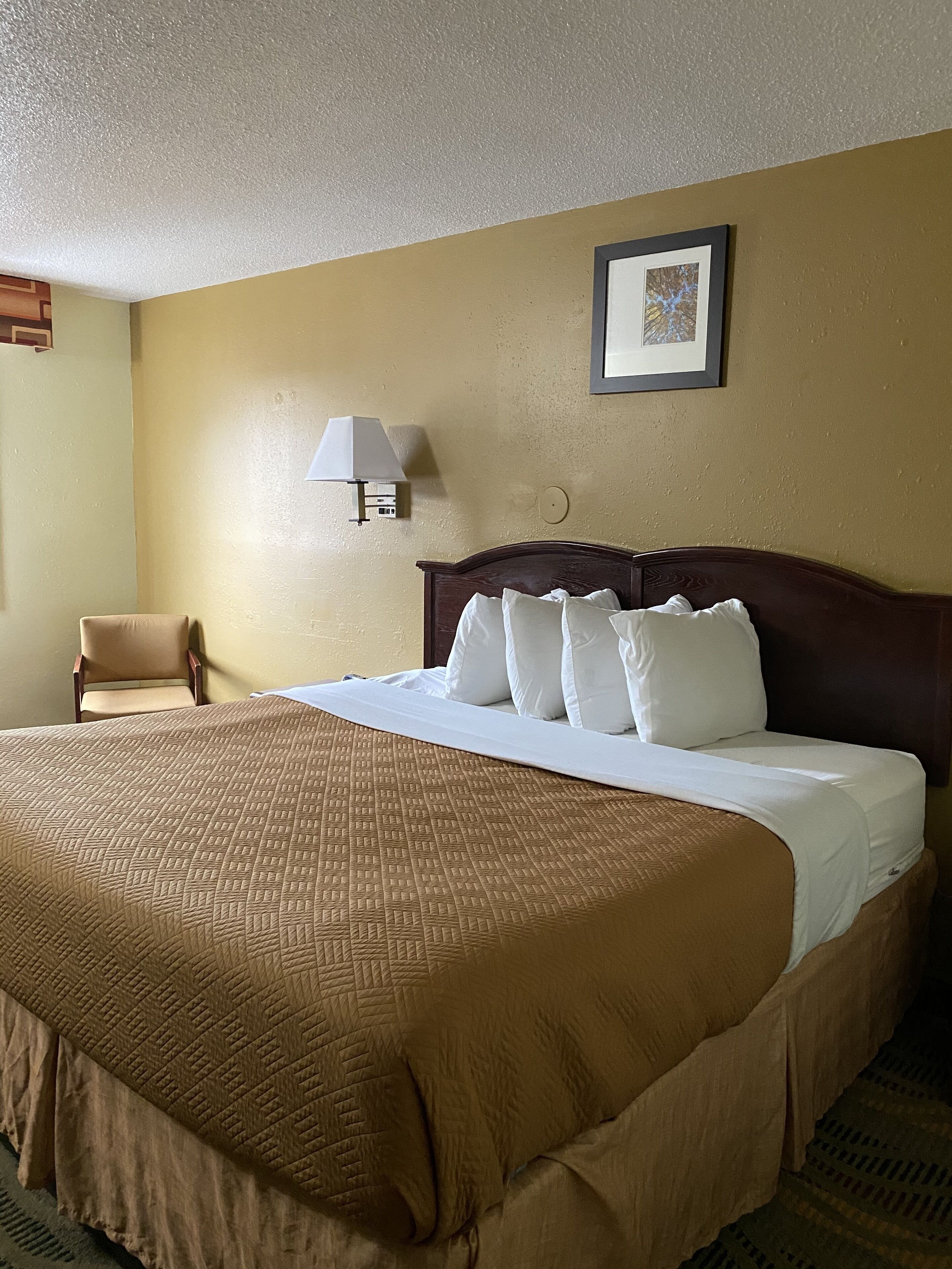 A hotel room with a large bed, a chair, a wall-mounted lamp, and a framed picture.