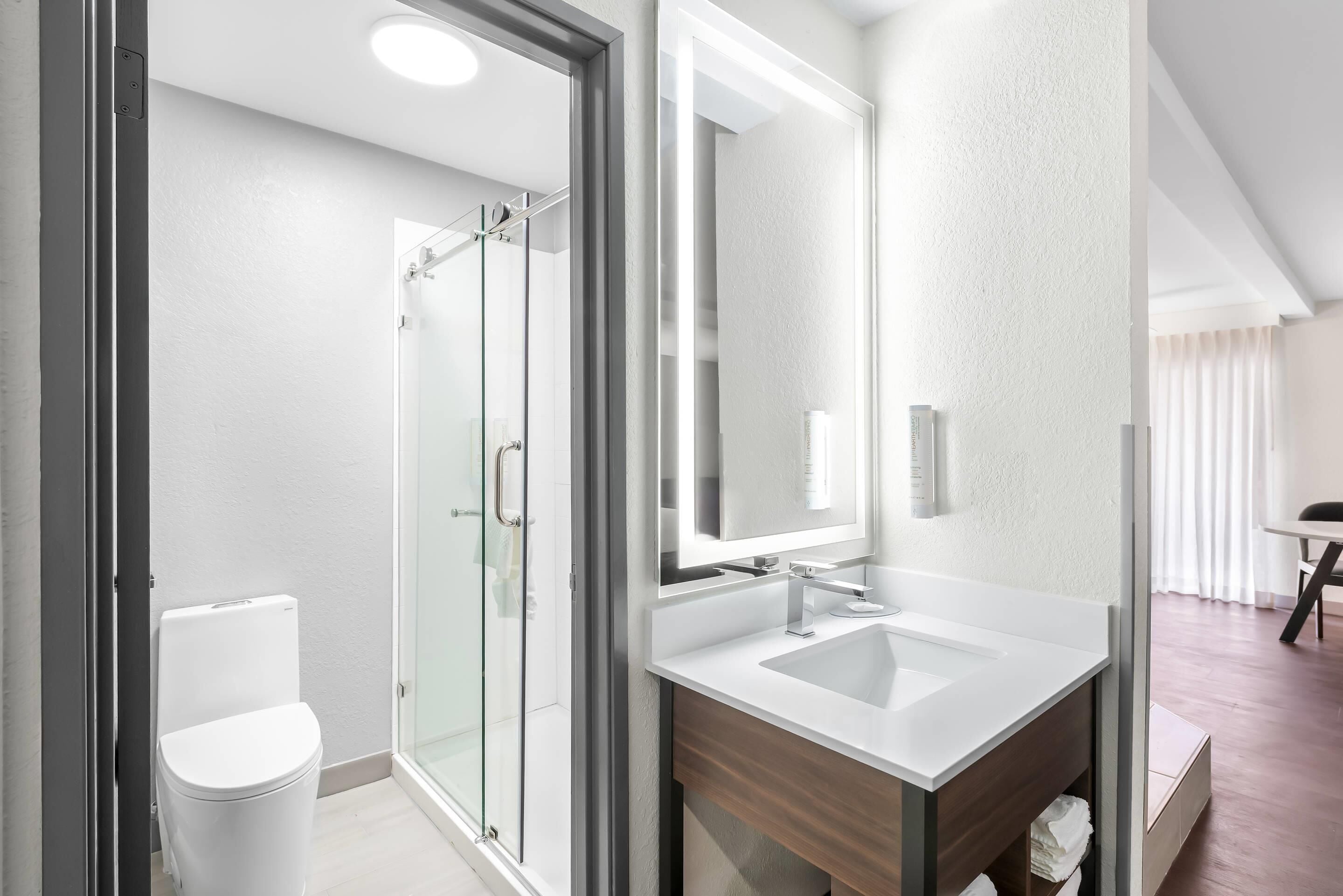 A modern bathroom with a glass shower enclosure, a white toilet, and a vanity with a mirror.