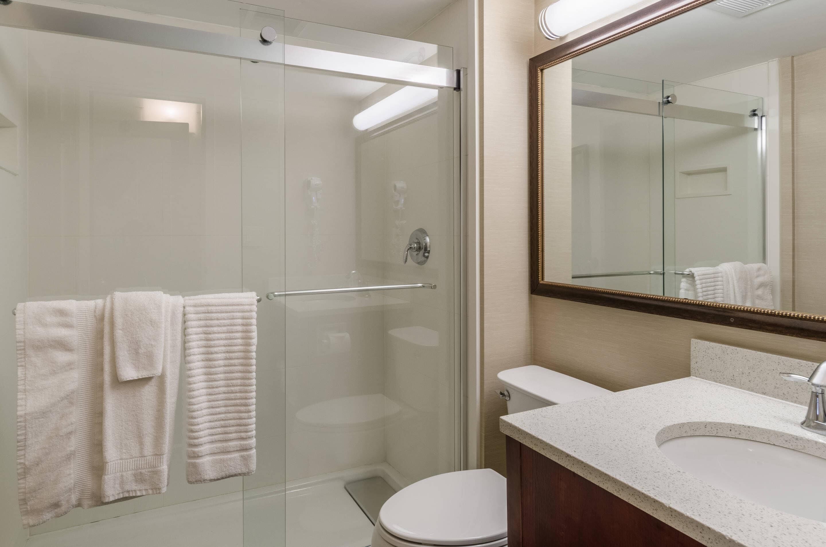 A modern bathroom with a glass-enclosed shower, a white toilet, and a sink with a mirror above it.