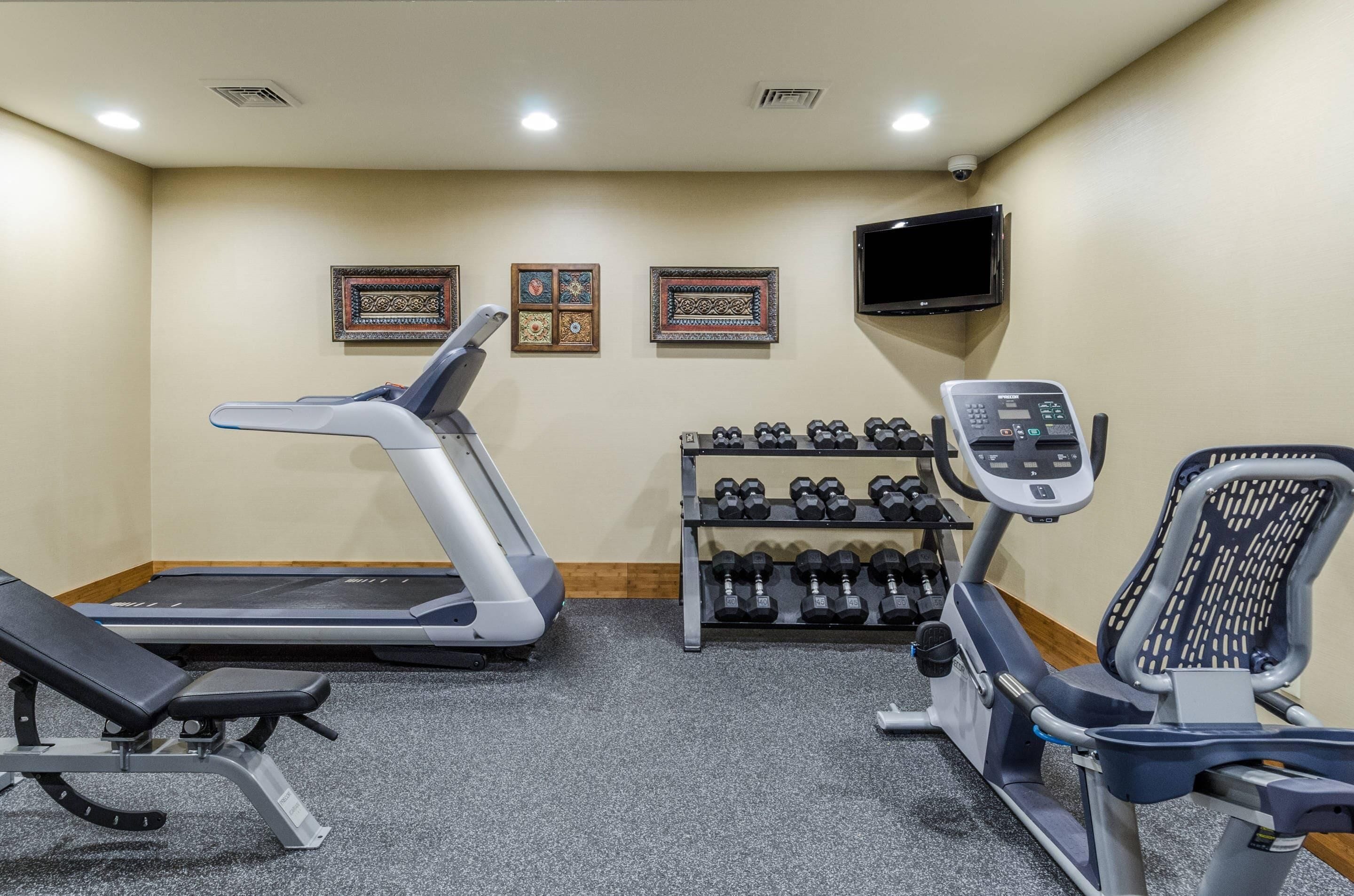 A gym with treadmills, dumbbells, and exercise equipment.