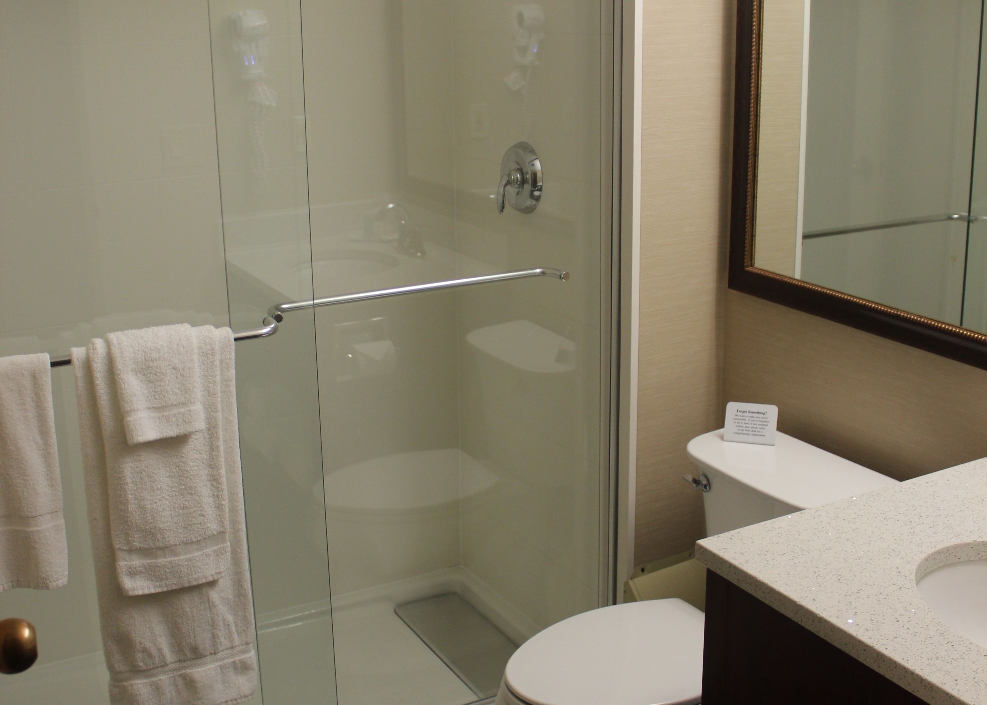 A modern bathroom with a glass shower enclosure, a white toilet, and a countertop with a sink.