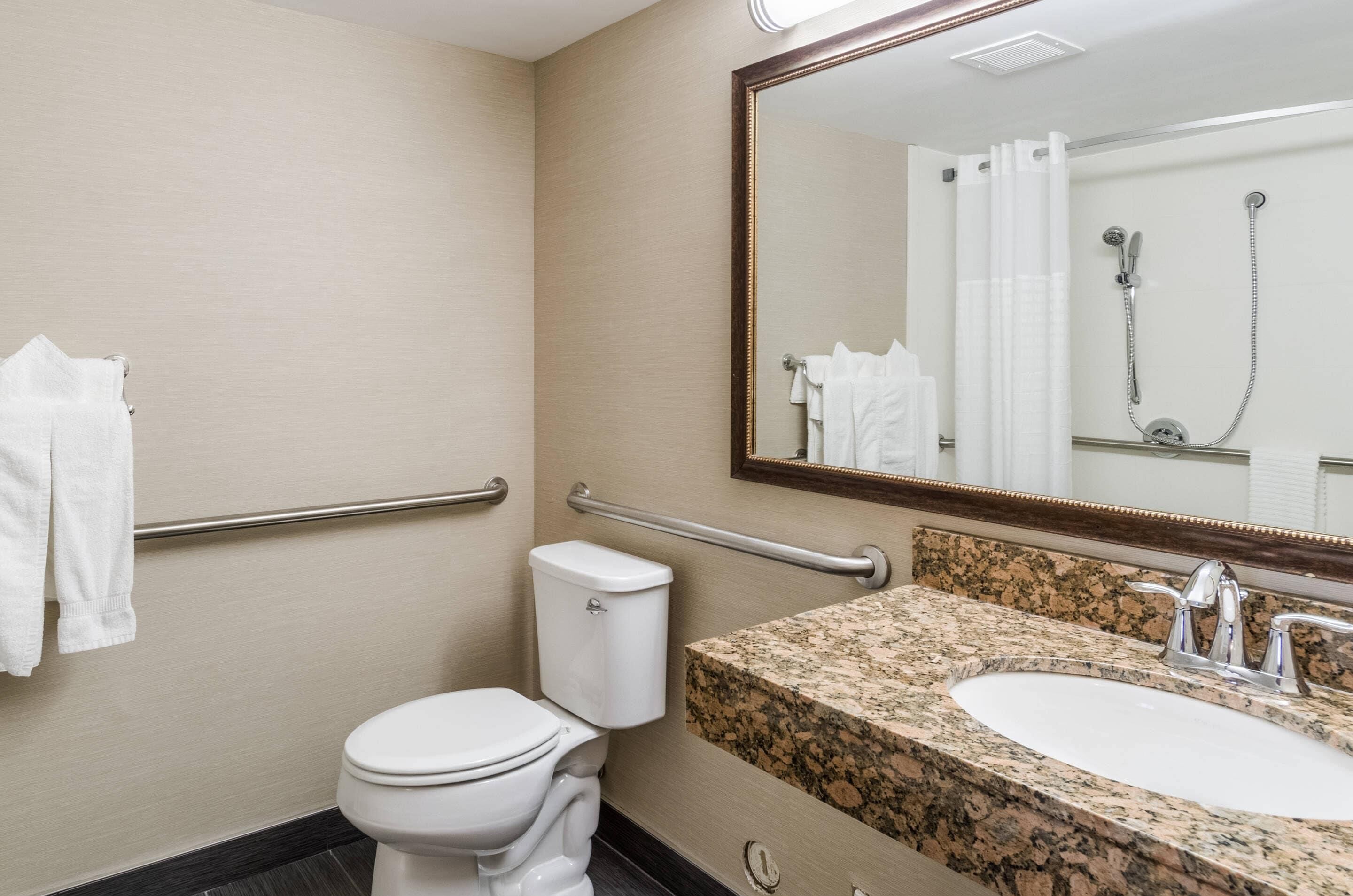 A bathroom with a toilet, a sink, a mirror, and a shower.