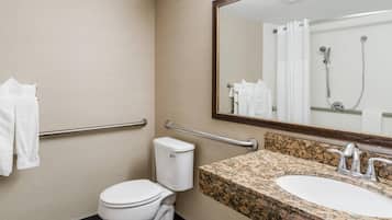 A bathroom with a toilet, a sink, a mirror, and a shower.