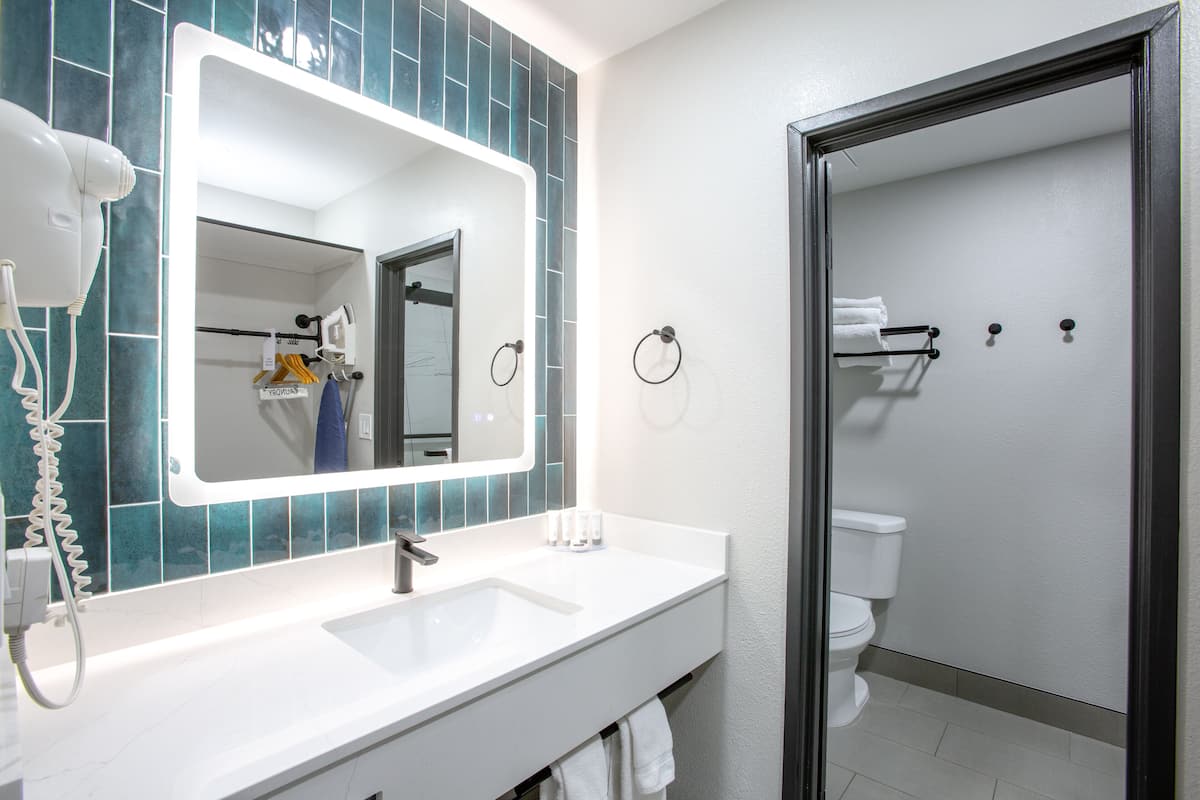 shower, free toiletries, hair dryer, towels