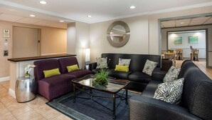 A modern living room with a purple sofa, a glass coffee table, and a black sofa with patterned cushions.