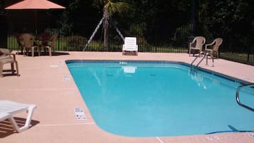 A rectangular swimming pool with a tiled edge, surrounded by lounge chairs and a palm tree in the background.
