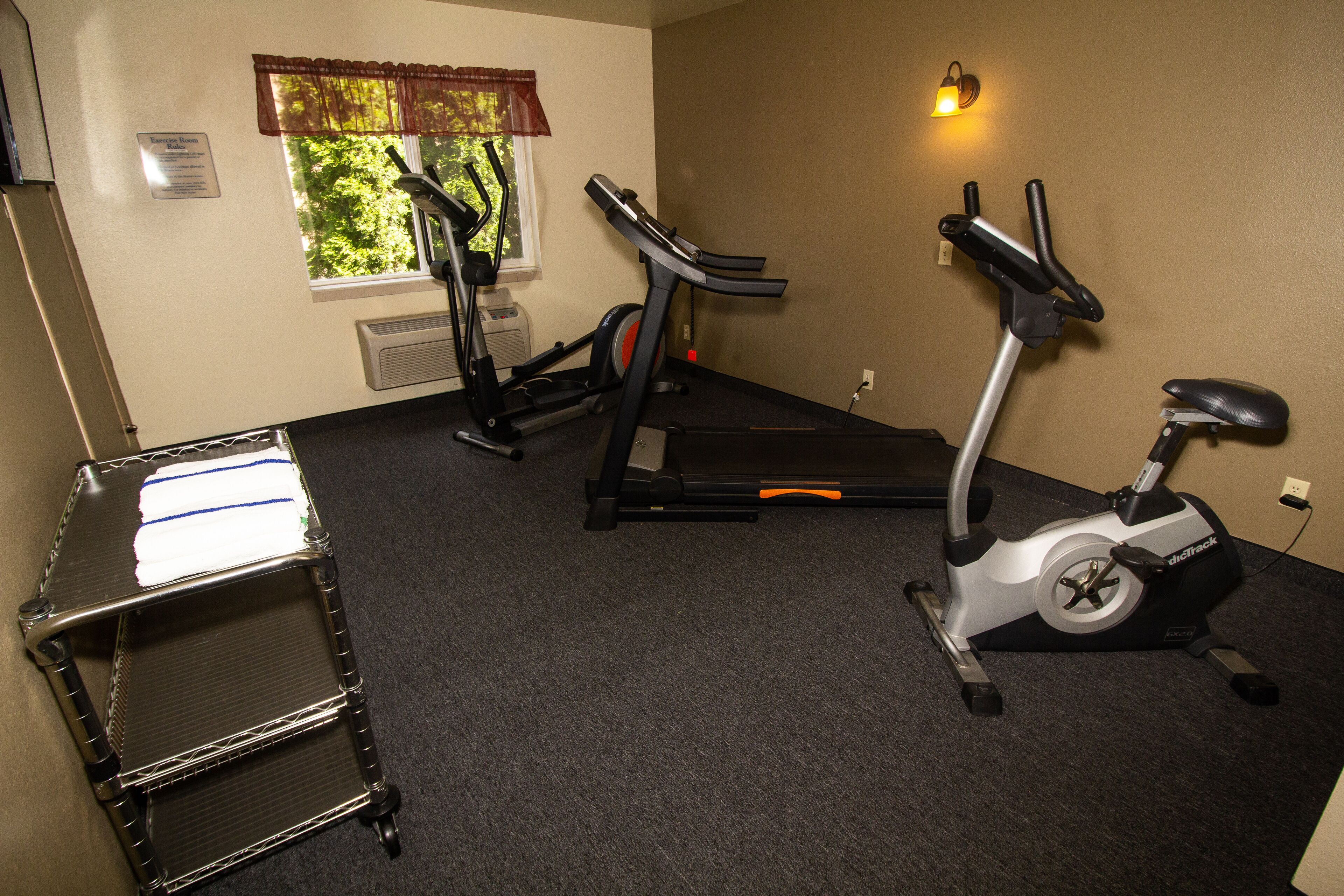 Un gimnasio en casa con cinta de correr, elíptica y bicicleta estática.