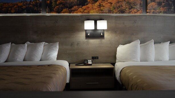 A hotel room with two beds, a nightstand with a phone, and a view of autumn foliage through large windows. - Quality Inn & Suites Ankeny - Des Moines (Ankeny)