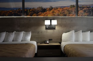 Ropa de cama de alta calidad, escritorio y cortinas blackout