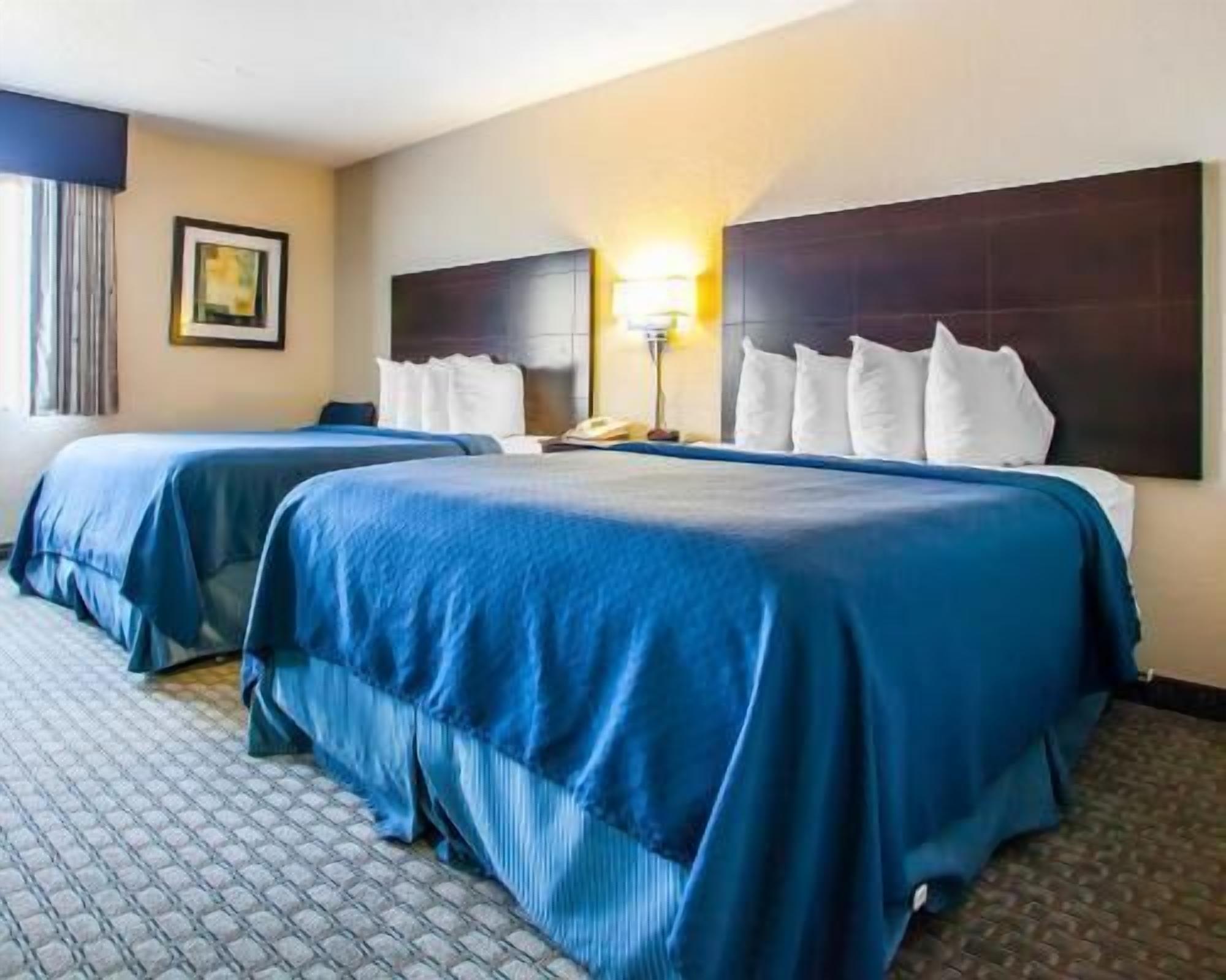 Premium bedding, desk, blackout curtains, iron/ironing board