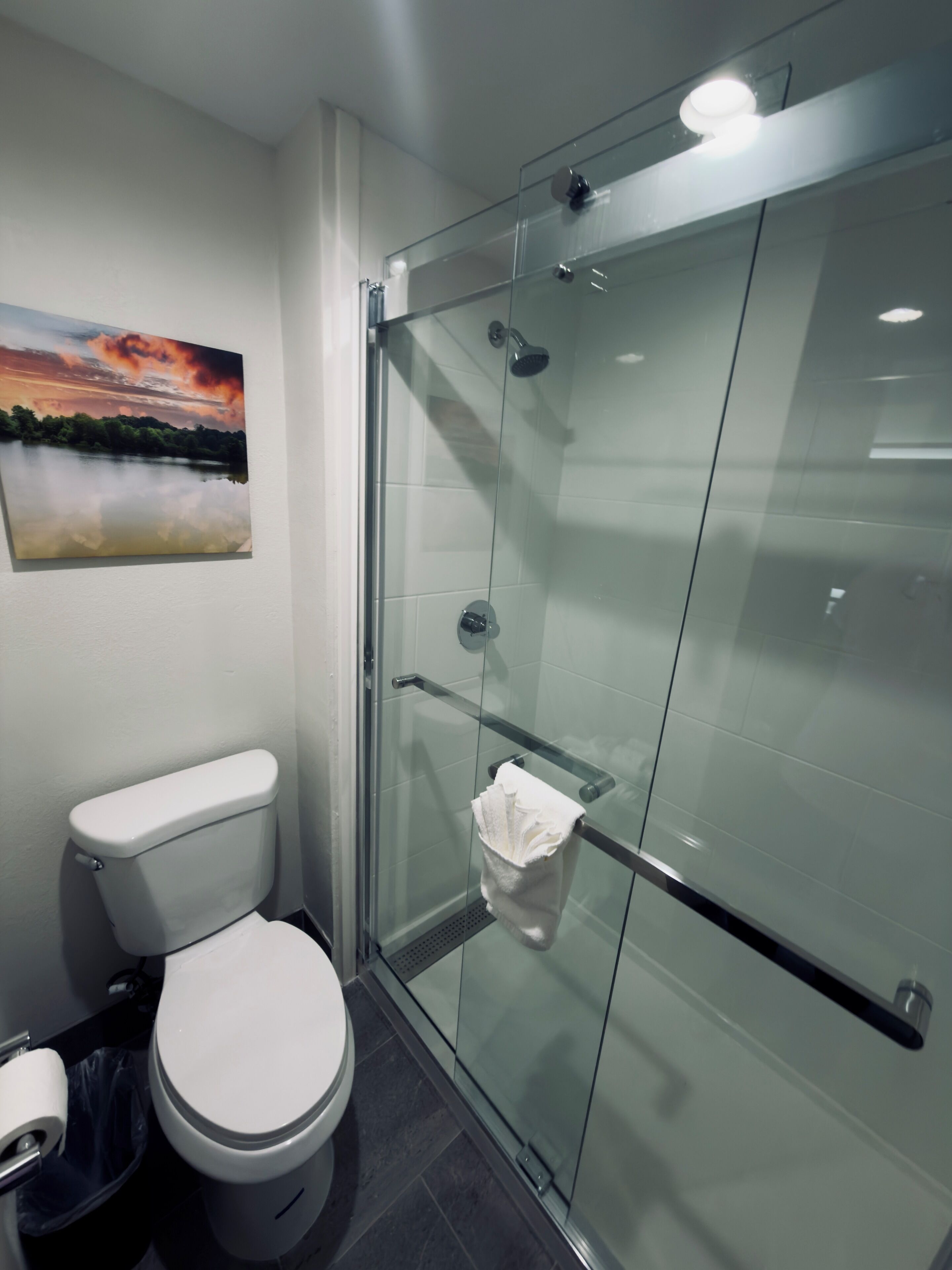 A modern bathroom with a glass-enclosed shower, a toilet, and a painting of a sunset over a lake.
