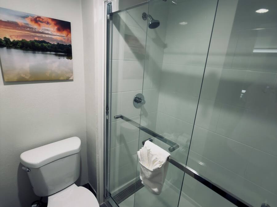 A modern bathroom with a glass-enclosed shower, a toilet, and a painting of a sunset over a lake.