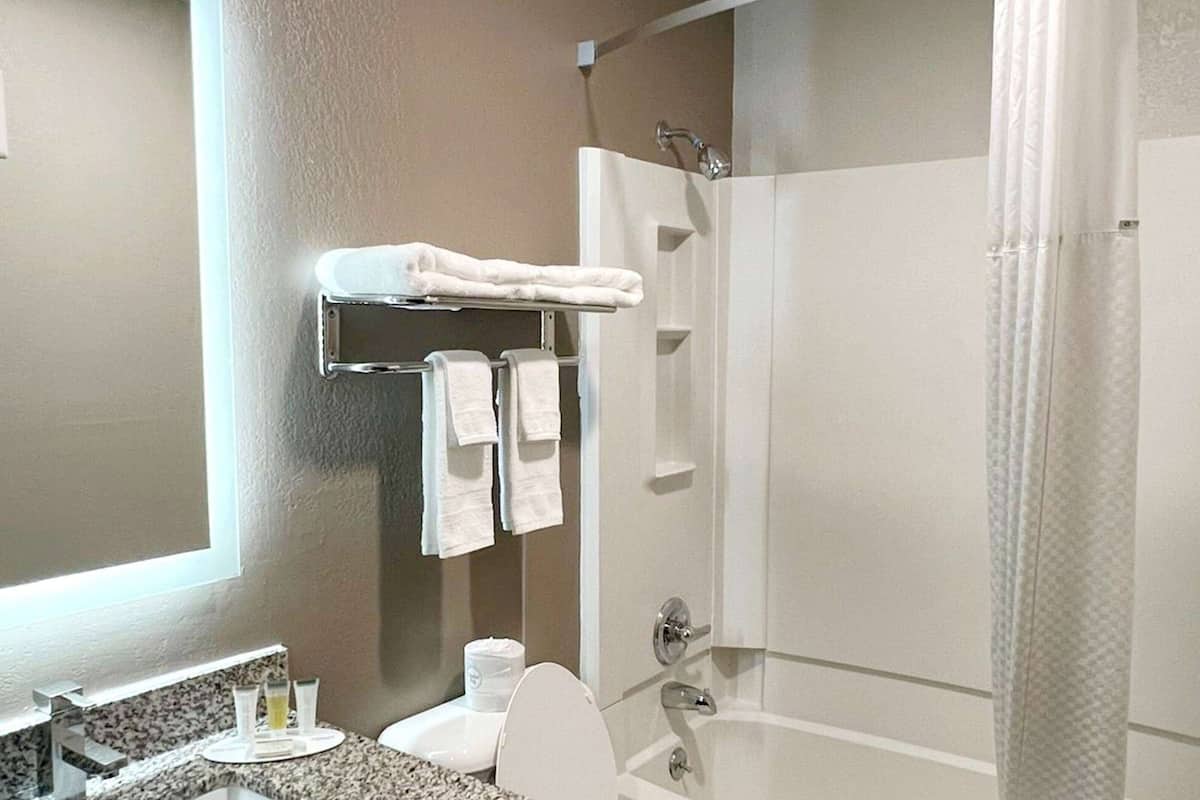 combined shower/bathtub, free toiletries, hair dryer, towels