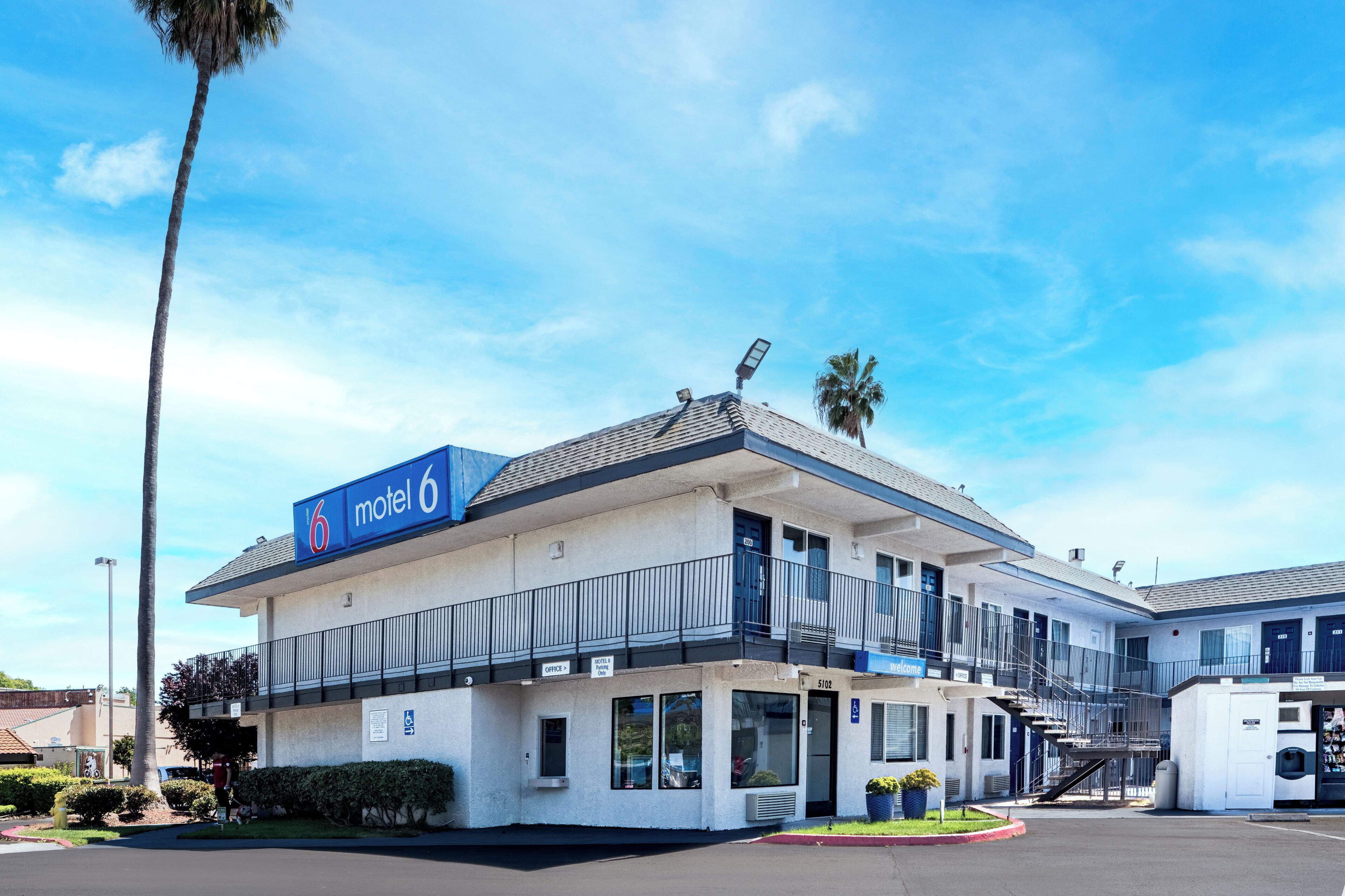 A motel with a sign reading 'motel 6,' a parking lot, and a palm tree.