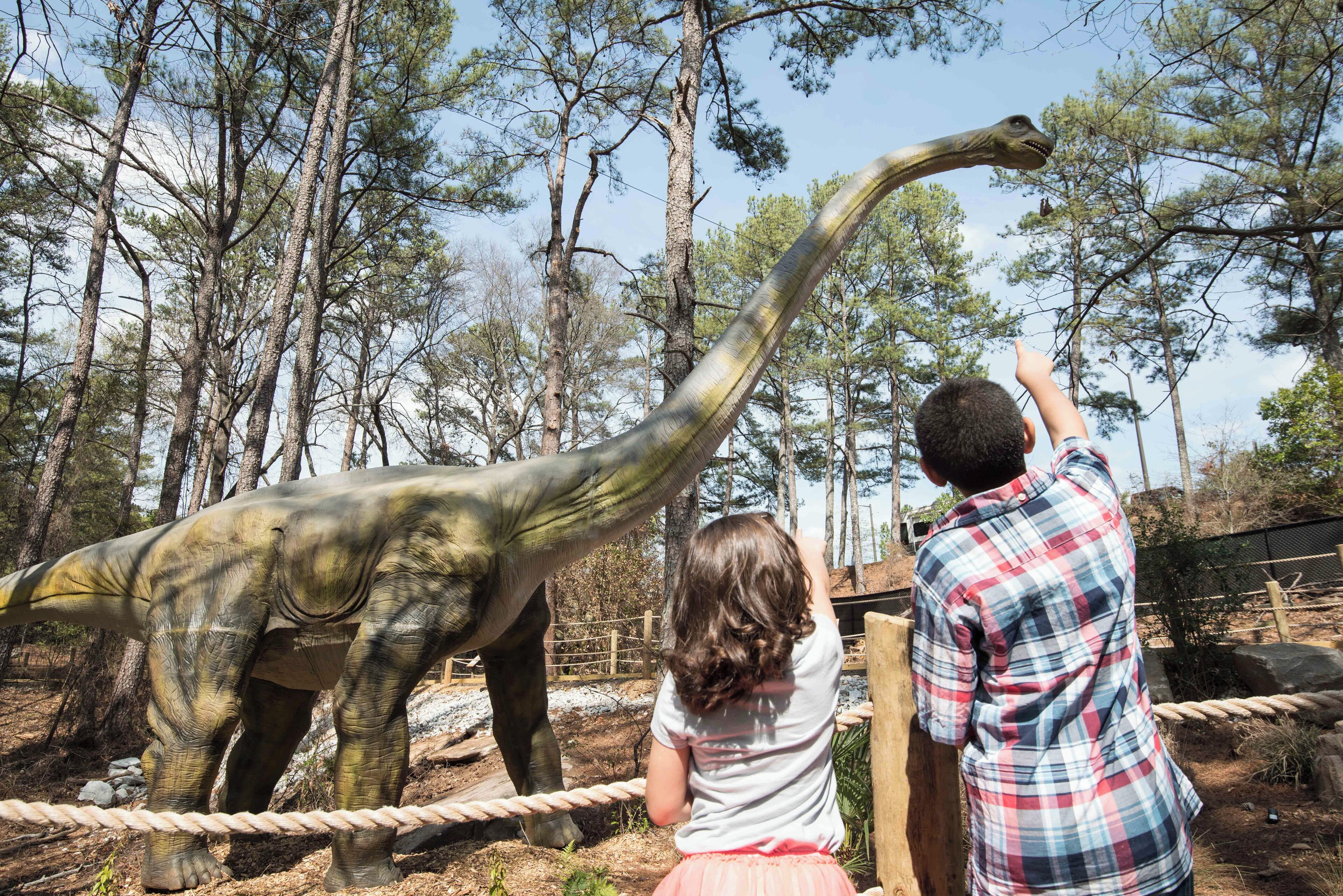 Een dinosaurusexpositie met een groot dinosaurusmodel en een touwbarrière.