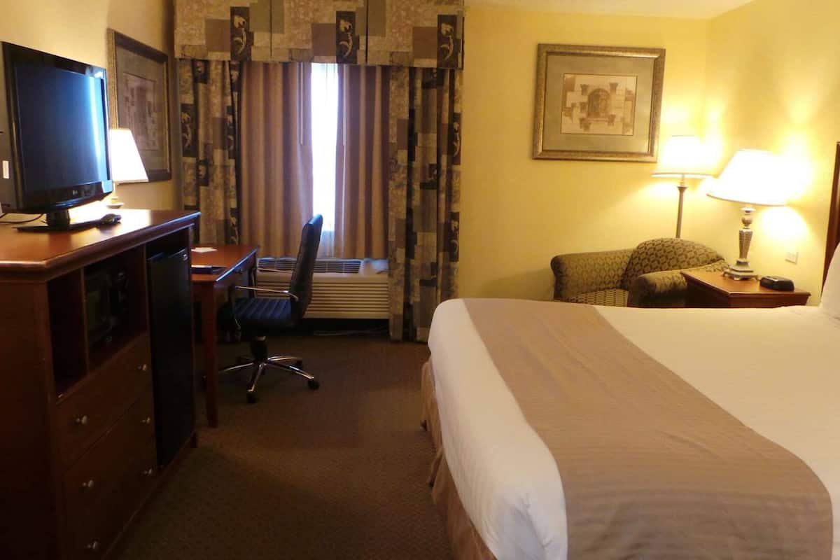 Habitación de hotel con cama, escritorio, silla, televisor y lámparas.