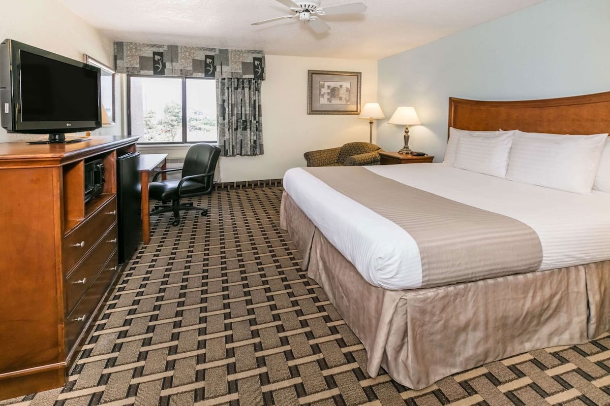 Habitación de hotel con cama, escritorio, silla, televisor y ventilador de techo.