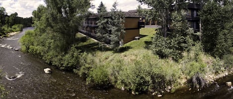 A riverside lodge with a wooden exterior, surrounded by dense greenery and a clear river.