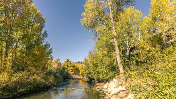 Un río serpentea por una zona boscosa con un puente de piedra.