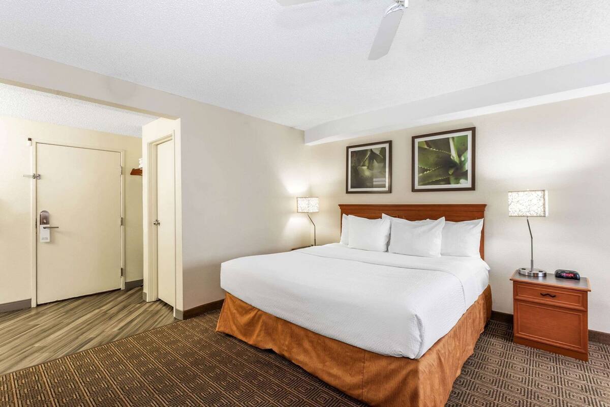 A hotel room with a bed, nightstand, wall-mounted lamps, and a door.