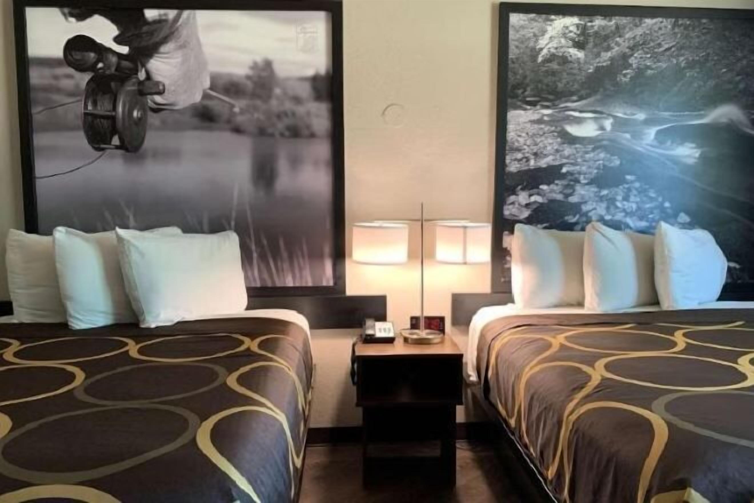 Bureau, accès au Wi-Fi (inclus), literie fournie