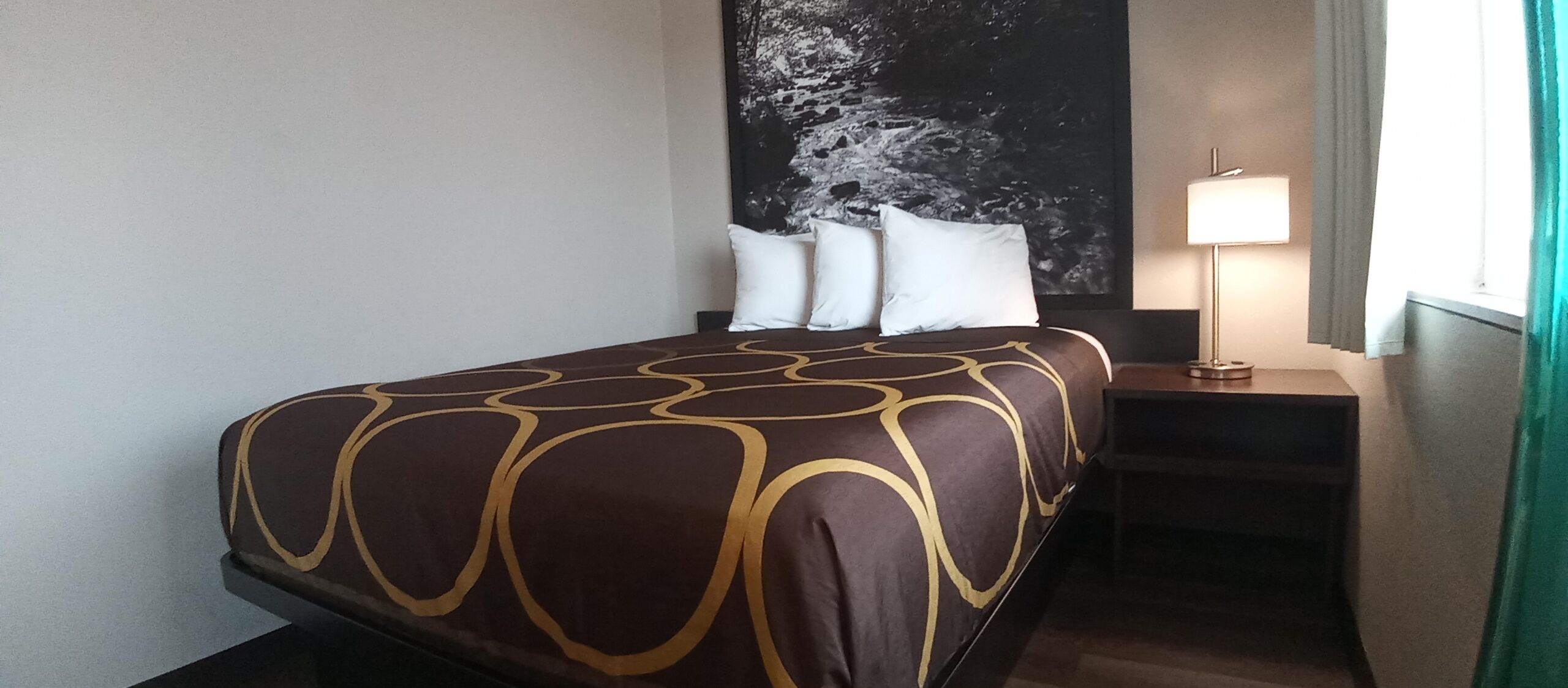 A hotel room with a bed, white pillows, a dark brown bedspread with a gold pattern, a nightstand with a lamp, and a large black and white artwork on the wall.