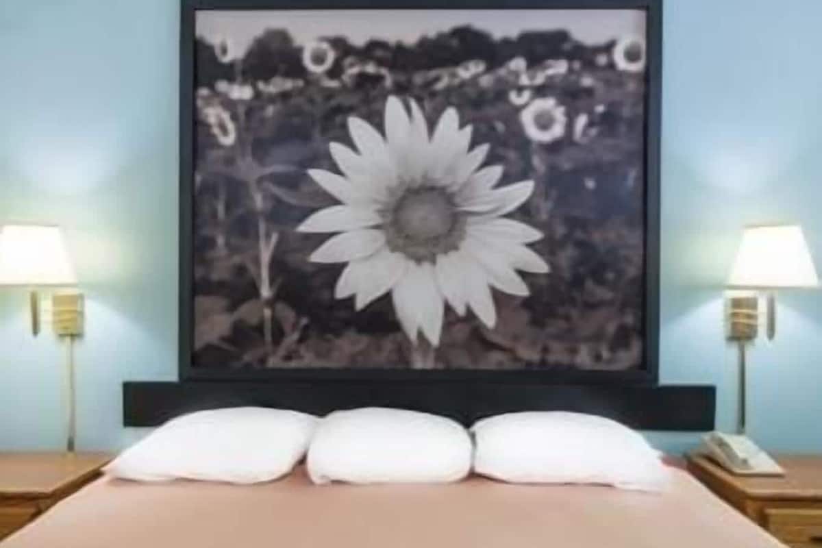 Quarto com uma cama, duas luminárias de cabeceira e um quadro com uma flor na parede.