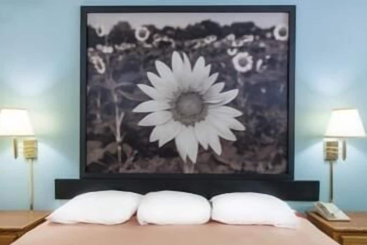 Quarto com cama, duas luminárias de cabeceira, um quadro com uma flor e uma mesa de cabeceira com um telefone.