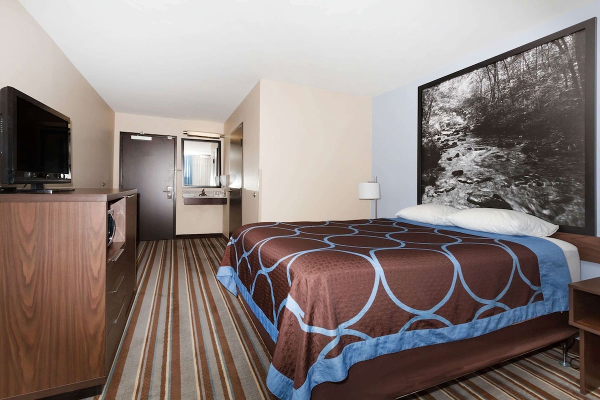 Une chambre d’hôtel avec un lit, une télévision, une salle de bain et un grand tableau encadré au mur.