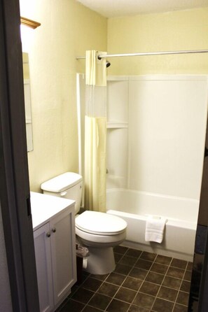 Combined shower/bathtub, hair dryer