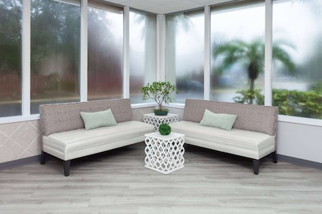 A corner seating area with a sofa and a small table, a potted plant, and large windows with a view of palm trees.