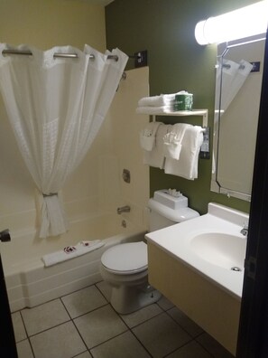 Combined shower/bathtub, free toiletries, hair dryer, towels