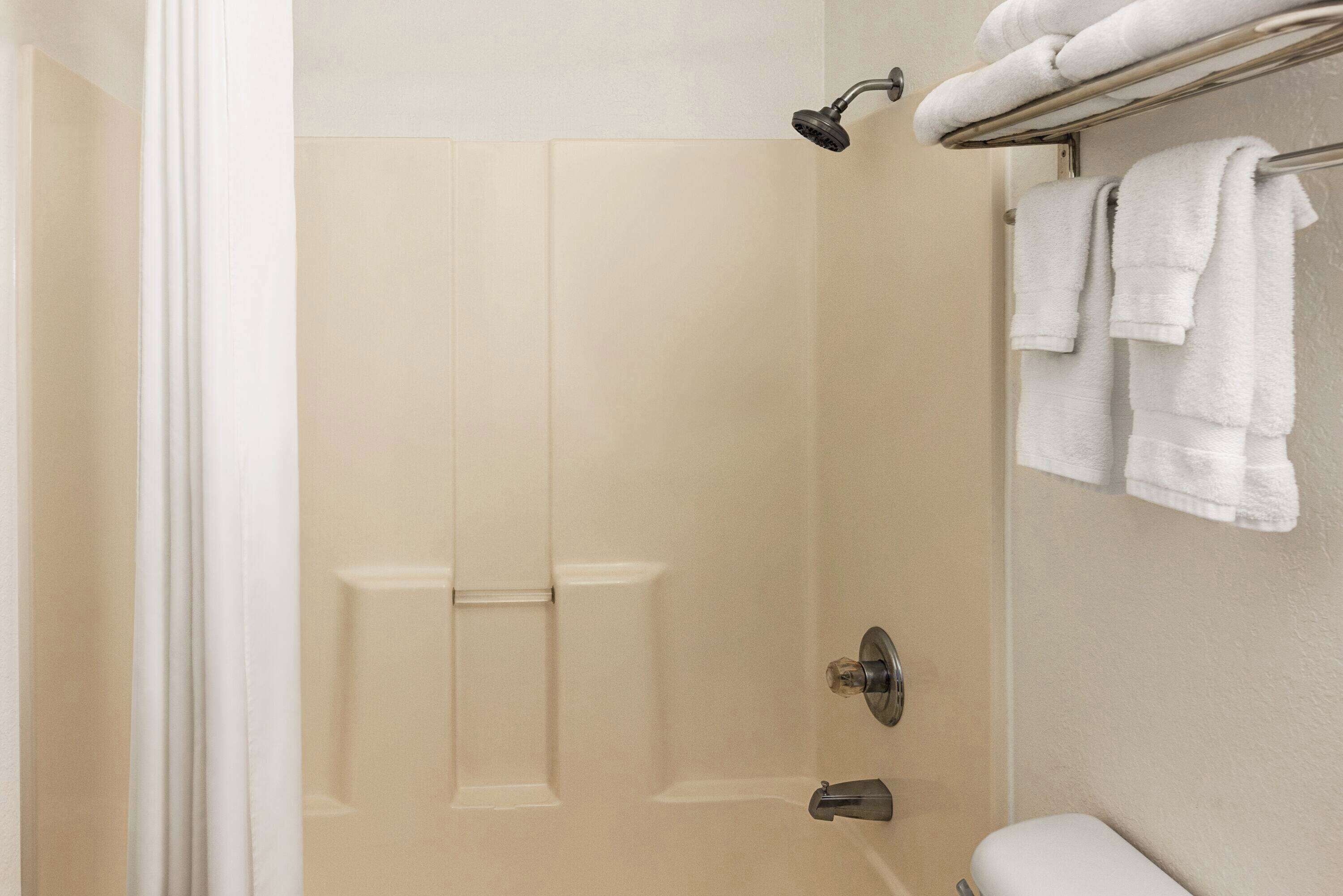 combined shower/bathtub, free toiletries, hair dryer, towels