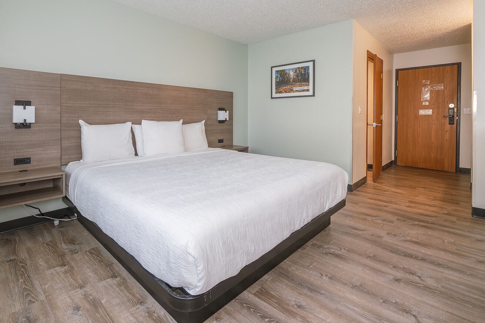 A hotel room with a large bed, wooden headboard, a nightstand, a wall-mounted lamp, and a framed picture on the wall.