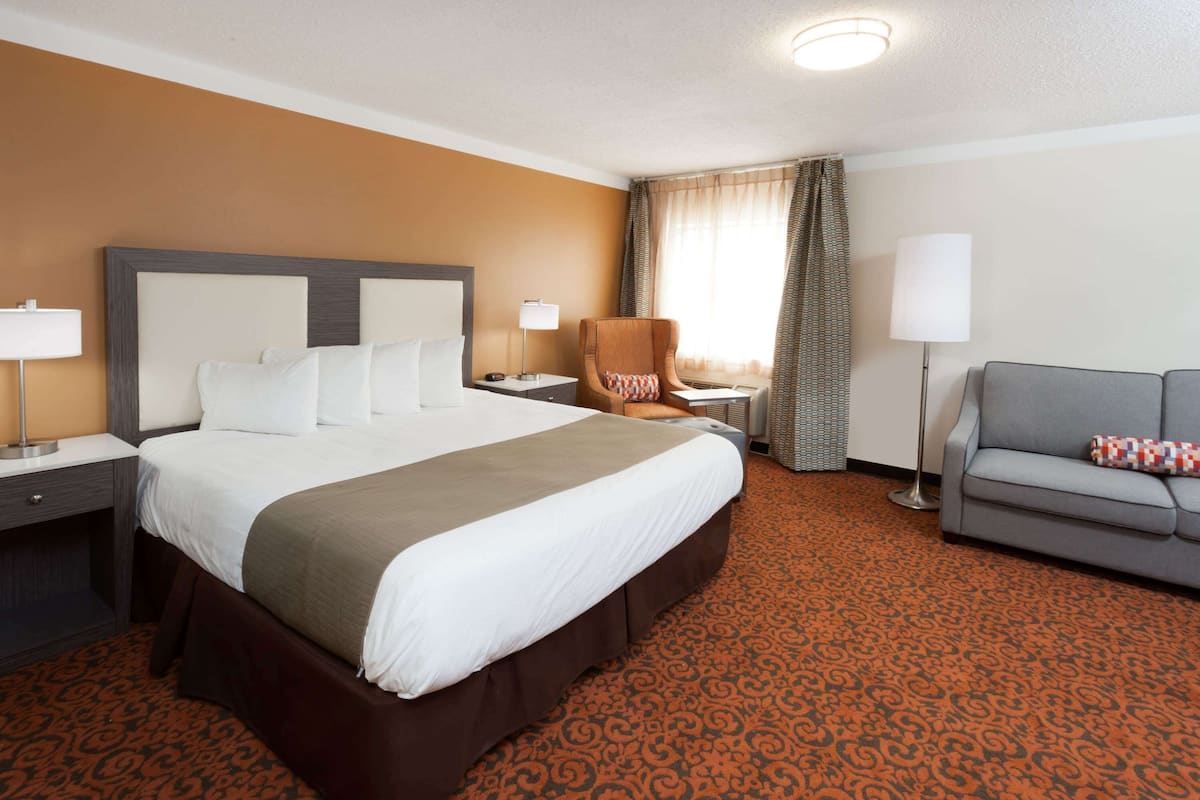 Studio Suite, 1 King Bed, Non Smoking | Desk, iron/ironing board, free cribs/infant beds, rollaway beds
