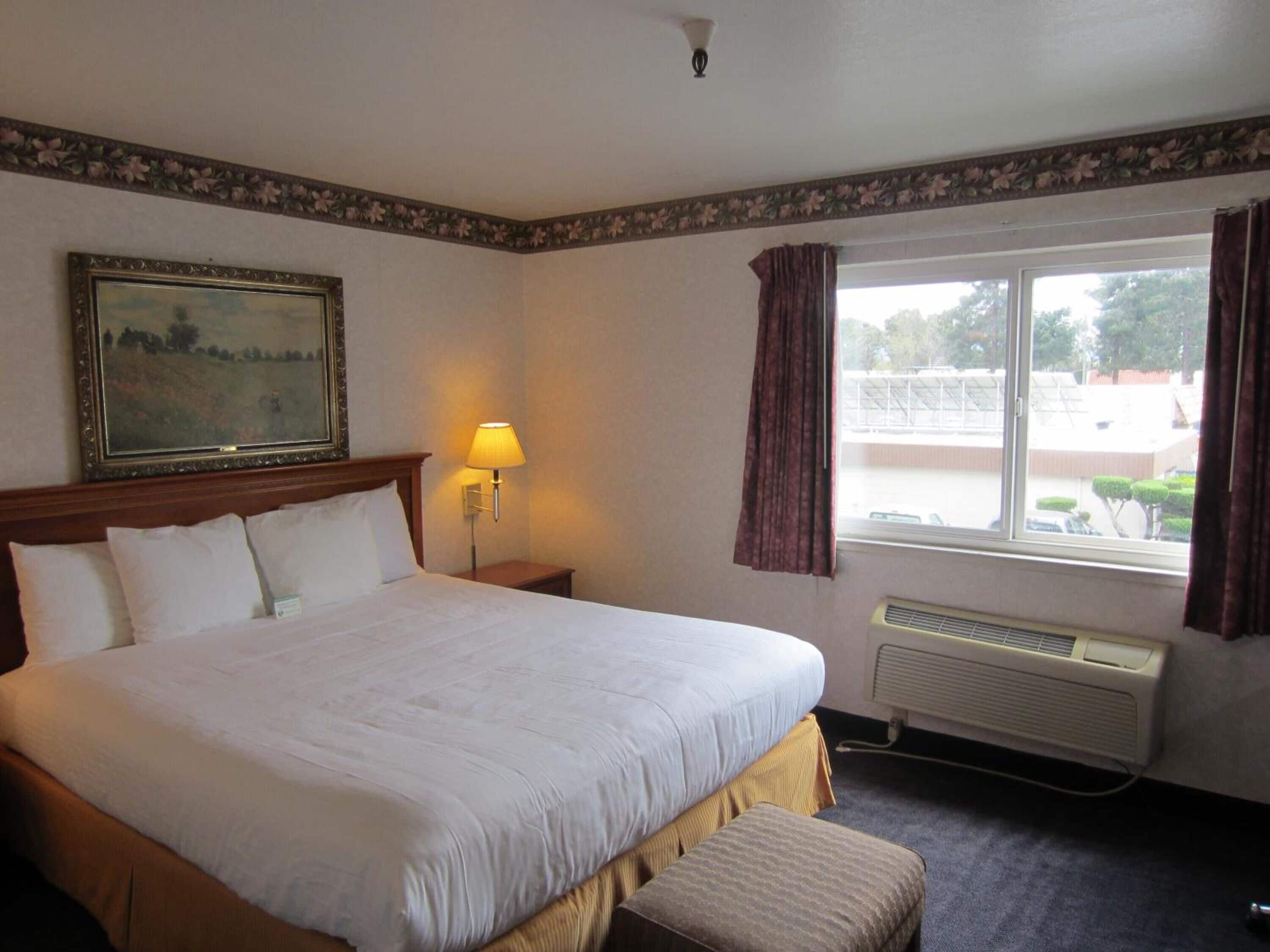 A hotel room with a large bed, a nightstand with a lamp, a window with curtains, and a radiator.