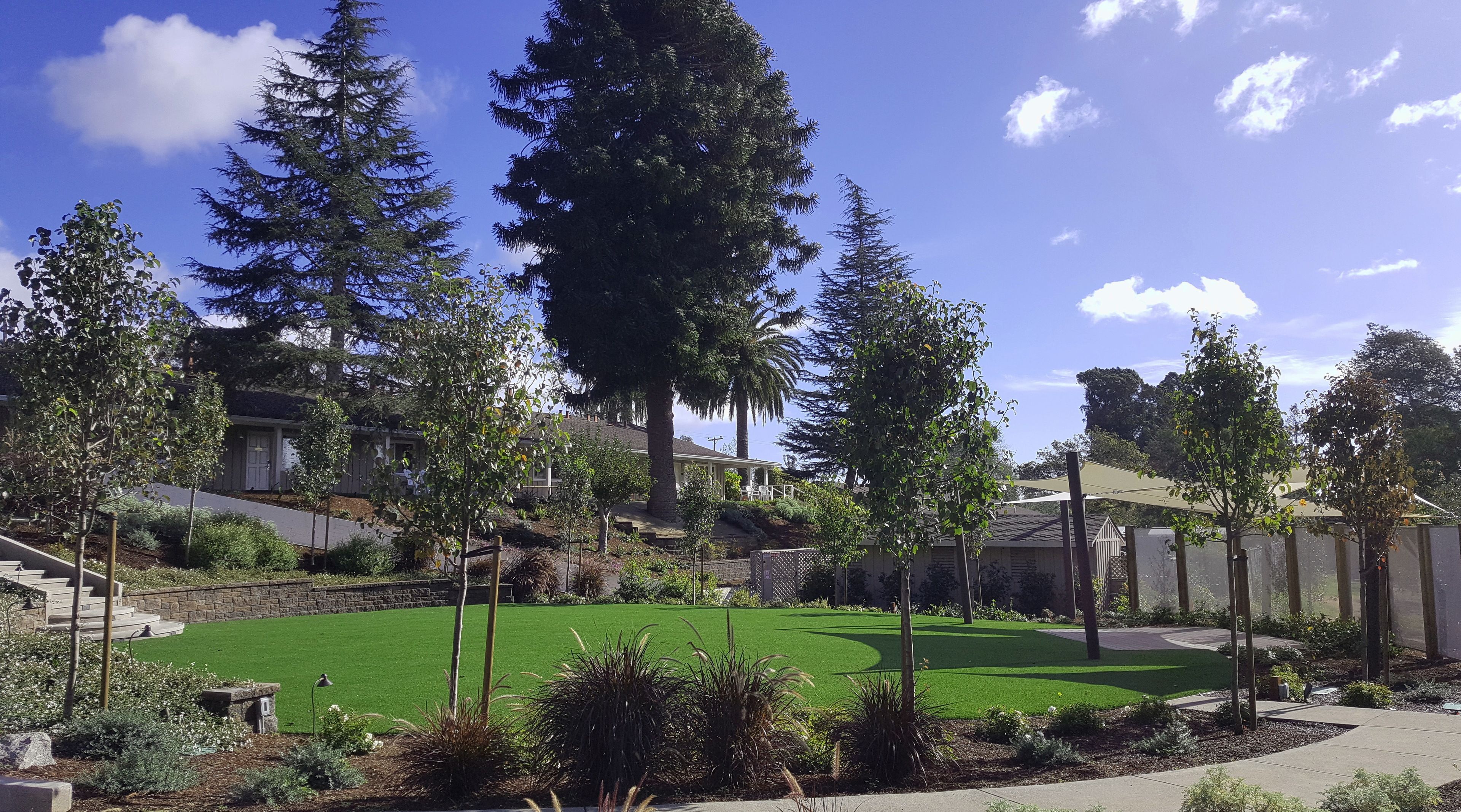 A well-maintained garden with a lawn, various trees, and a stone pathway.