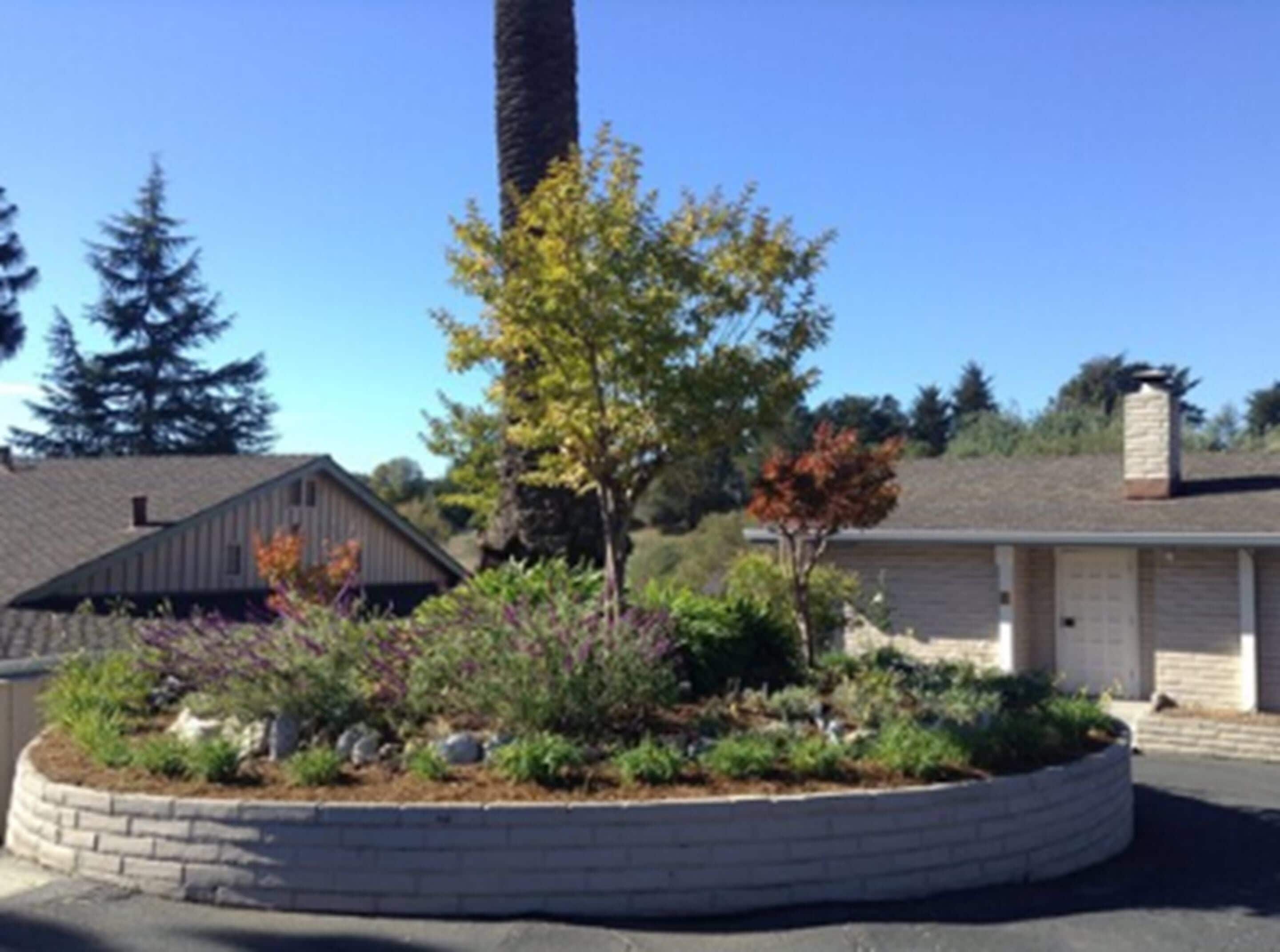 A residential building with a garage, a landscaped garden with various plants, and a tall tree in the foreground.