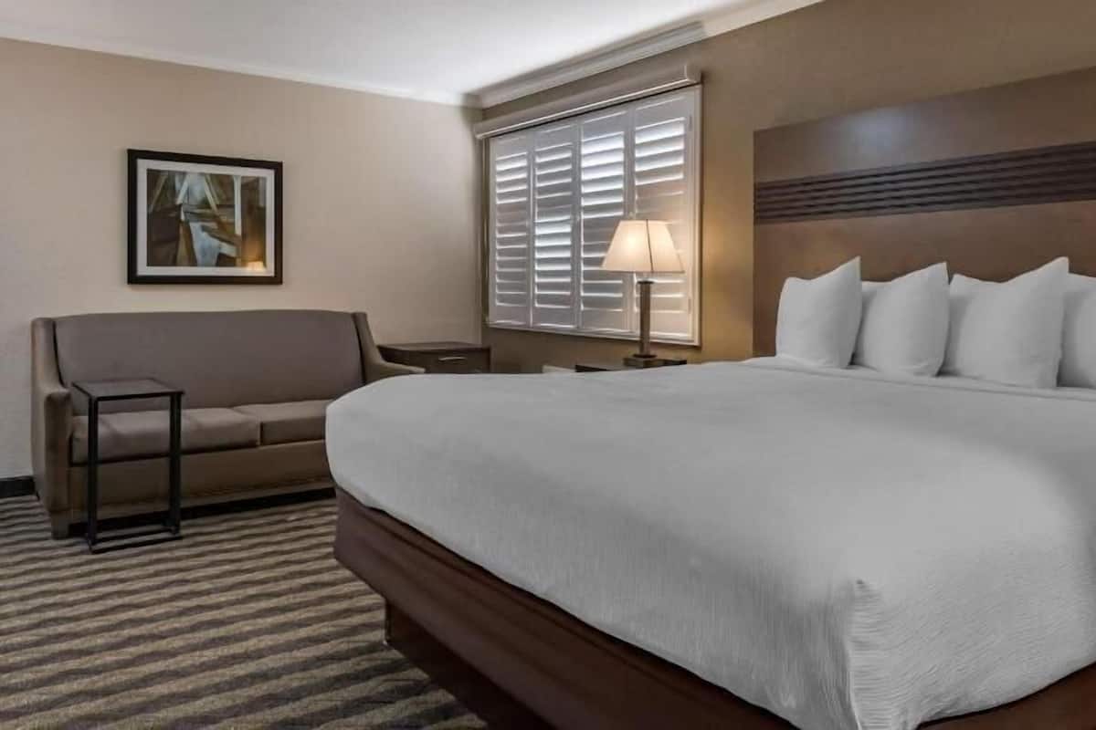 Schreibtisch, laptopgeeigneter Arbeitsplatz, Verdunkelungsvorhänge