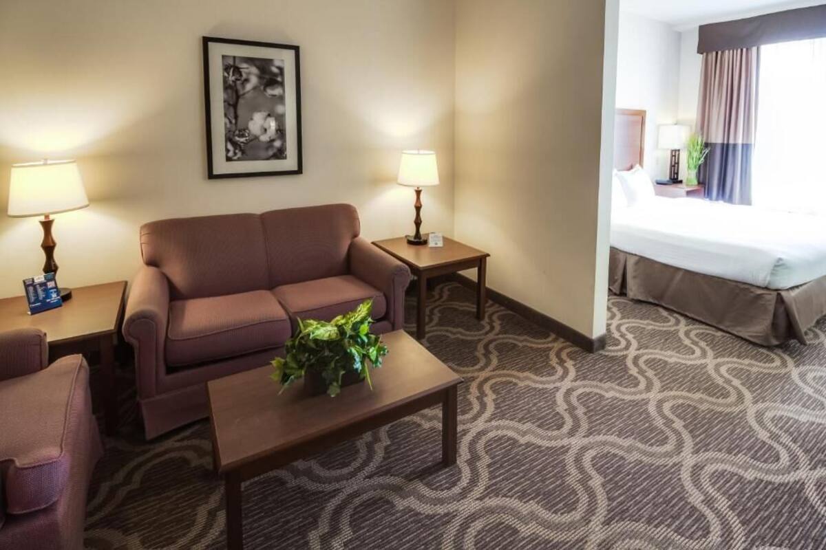 A hotel room with a brown sofa, two side tables with lamps, a small table with a plant, a patterned carpet, and a bed with a window view.