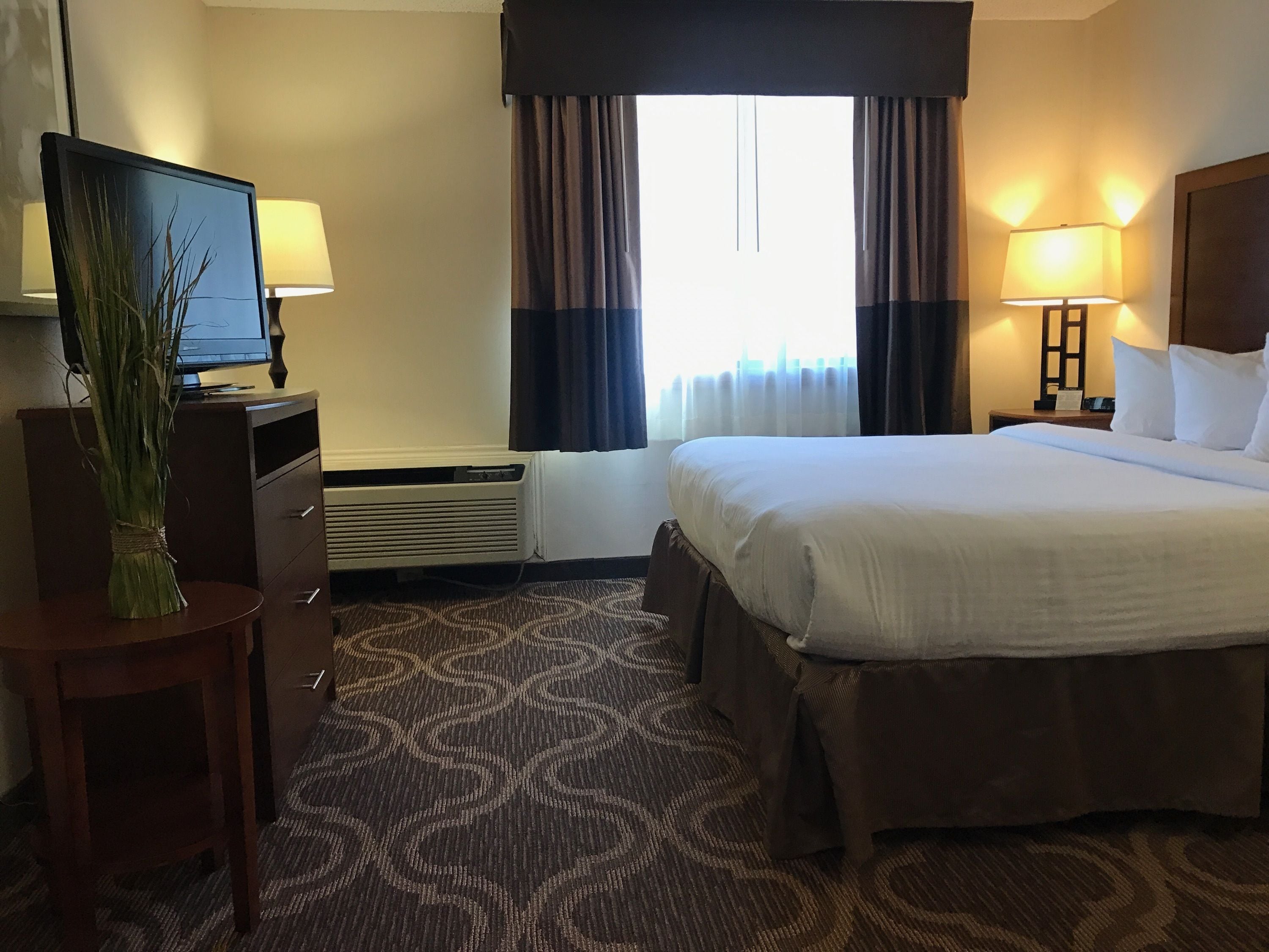 A hotel room with a large bed, a desk with a television, a lamp, and a decorative plant.