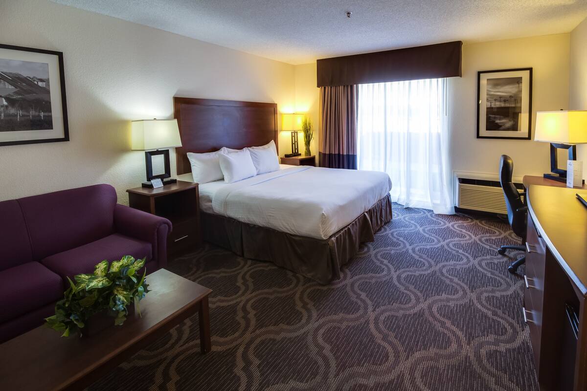 A hotel room with a large bed, a desk, a chair, a sofa, and a small table with a plant.