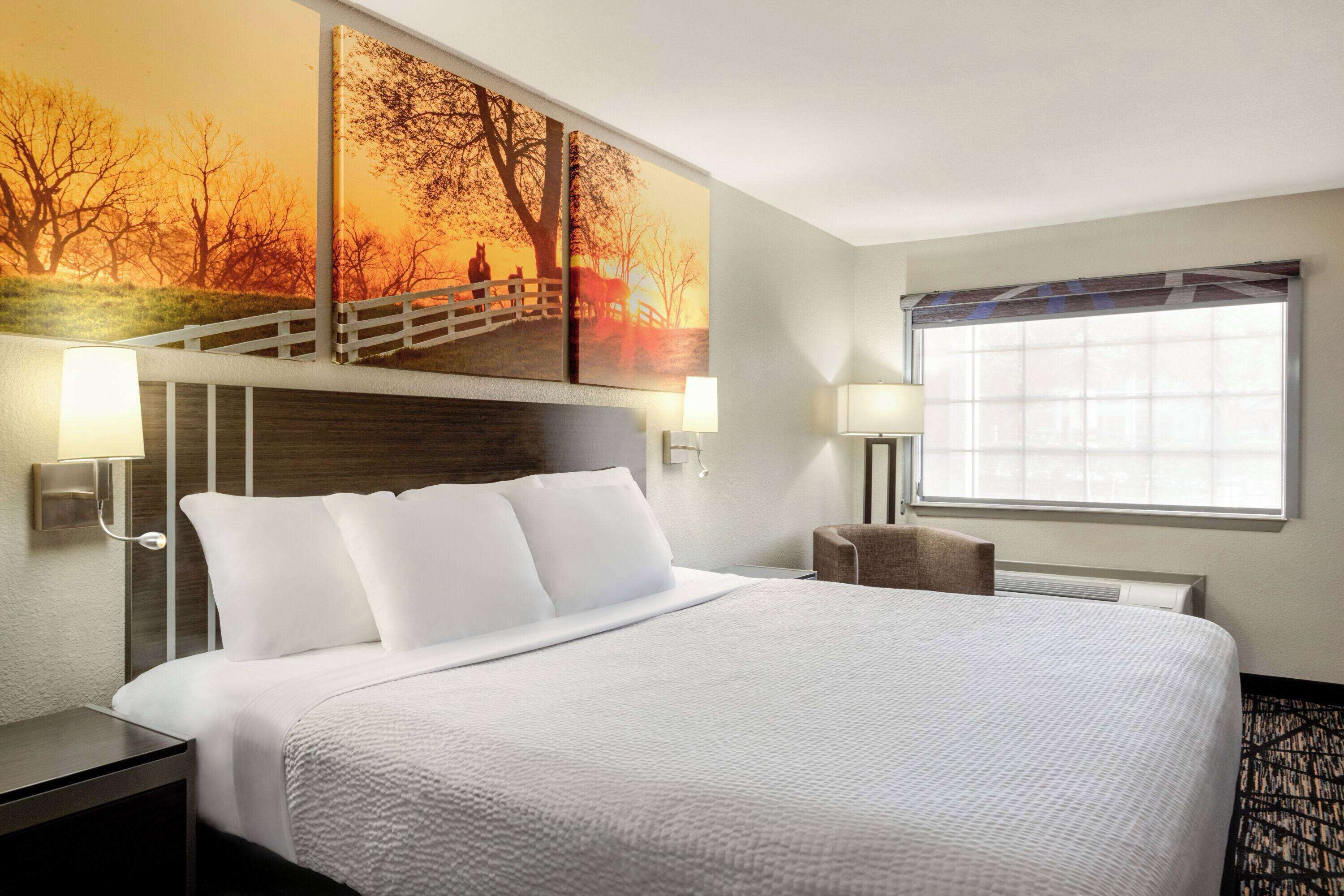 Foto - Days Inn by Wyndham San Antonio Near Fiesta Park