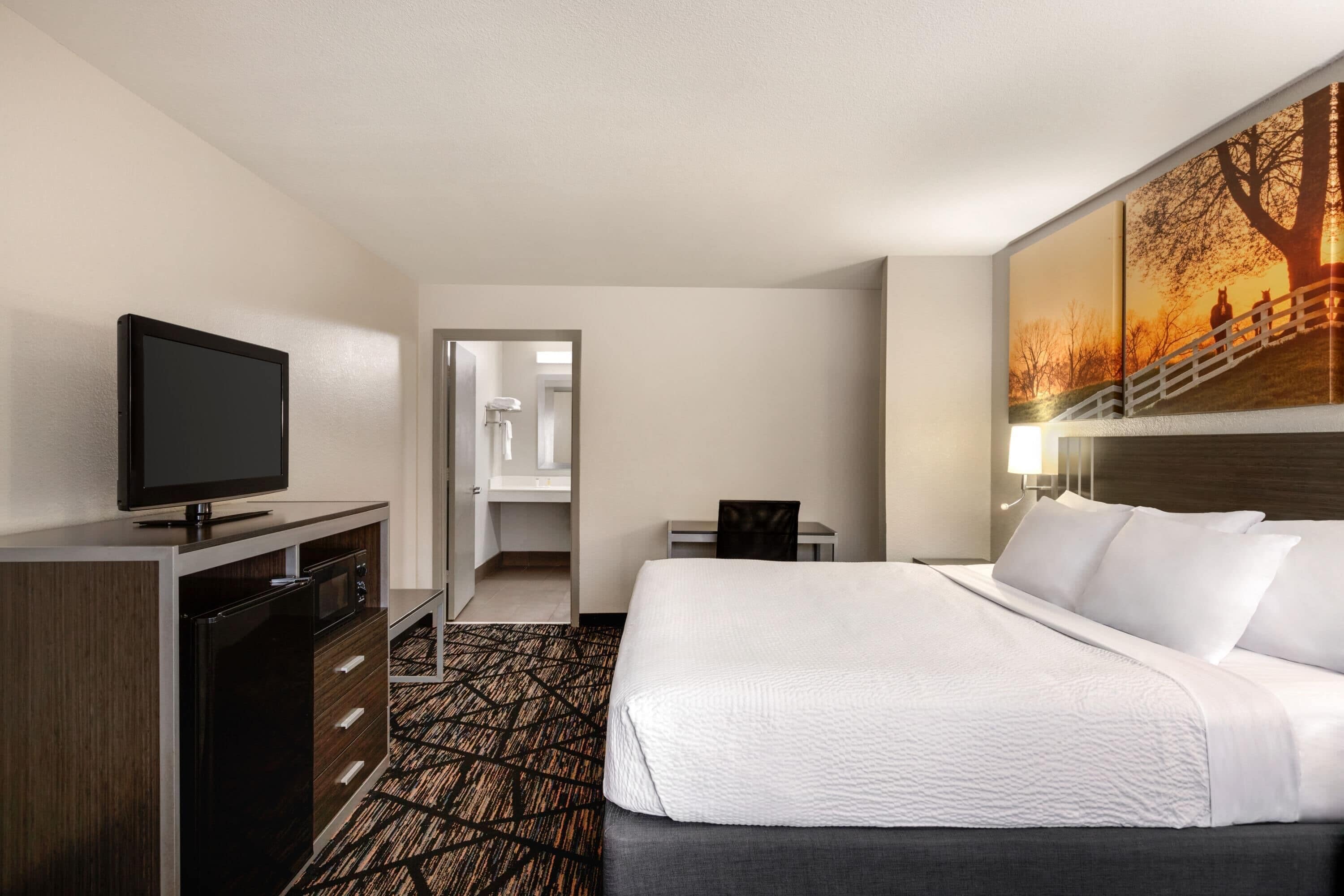 Room, 1 King Bed, Accessible, Non Smoking (Roll-In Shower)