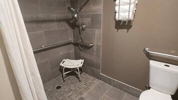 Combined shower/tub, free toiletries, hair dryer, towels