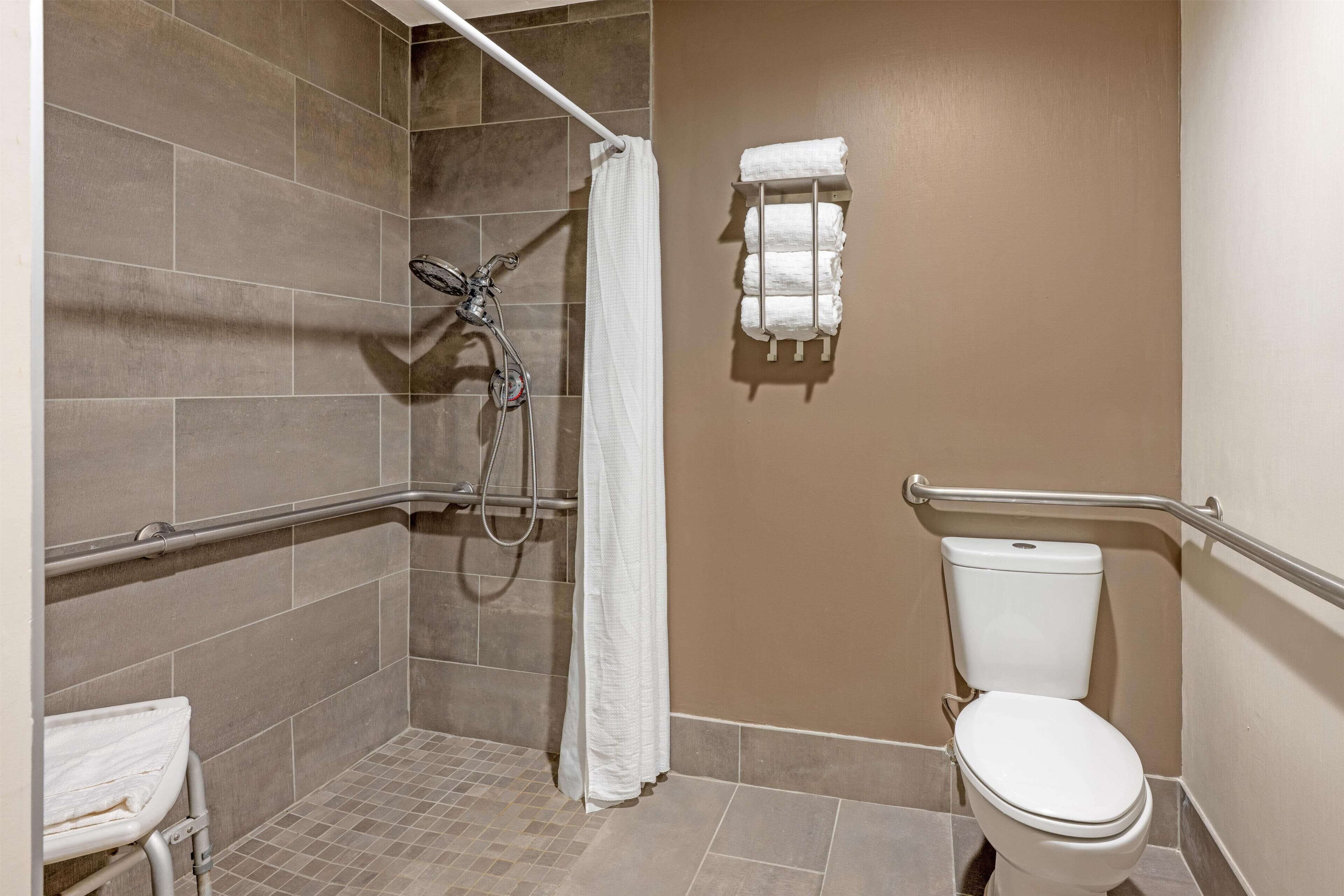 Ein Badezimmer mit Dusche, Toilette und Handläufen.